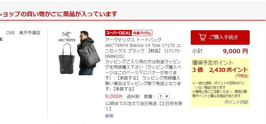 アークテリクス BLANCA 19 TOTE（ブランカ19トート）を購入