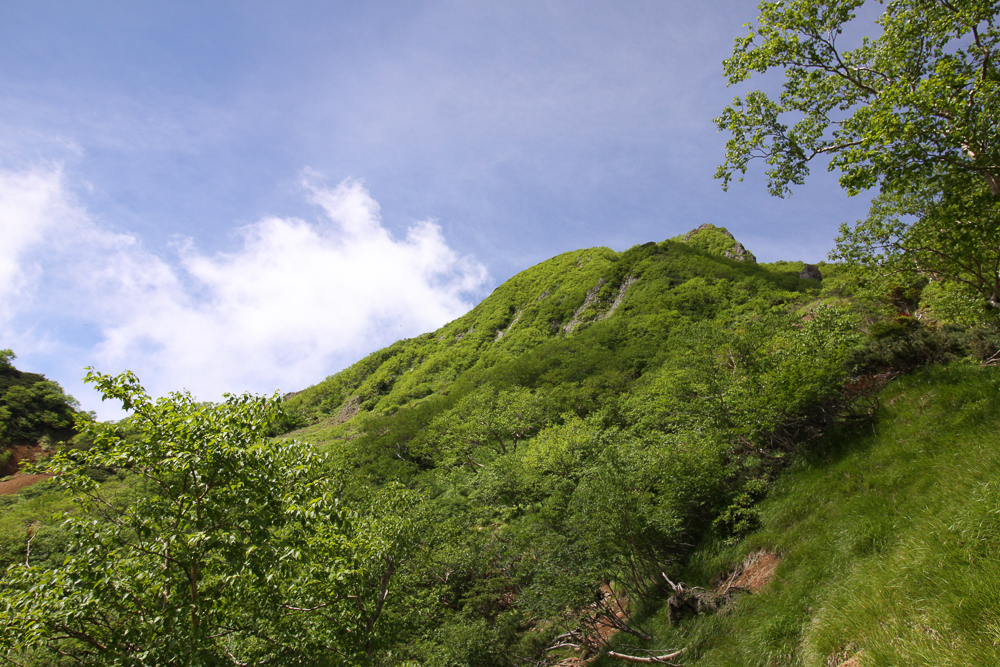 f:id:msx3:20180711093352j:plain f:id:msx3:20180711093352j:plain