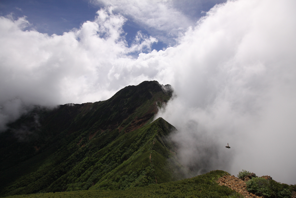 f:id:msx3:20180711095331j:plain f:id:msx3:20180711095331j:plain