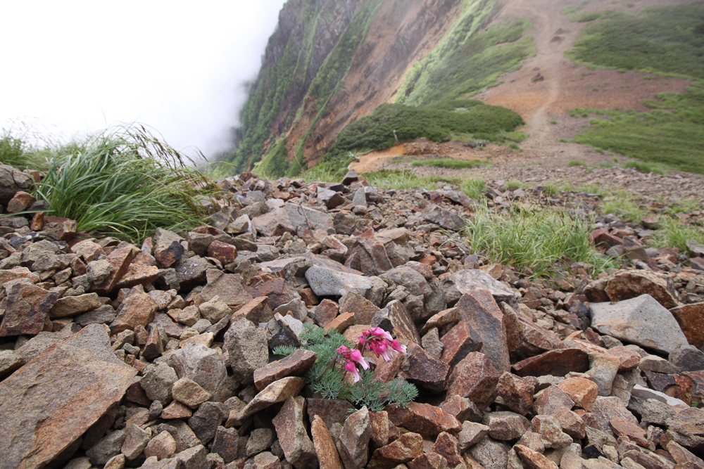 f:id:msx3:20180711102609j:plain f:id:msx3:20180711102609j:plain