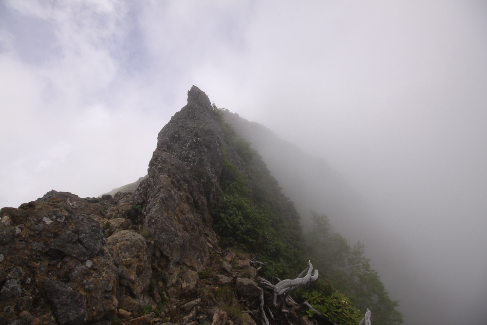 f:id:msx3:20180711105924j:plain f:id:msx3:20180711105924j:plain