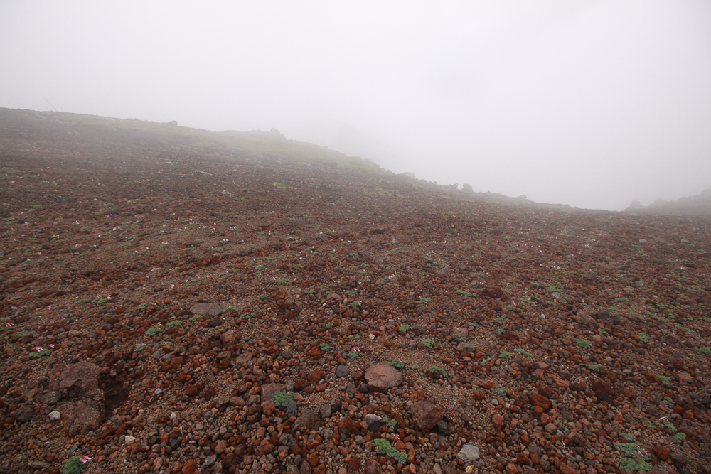 f:id:msx3:20180711123511j:plain f:id:msx3:20180711123511j:plain