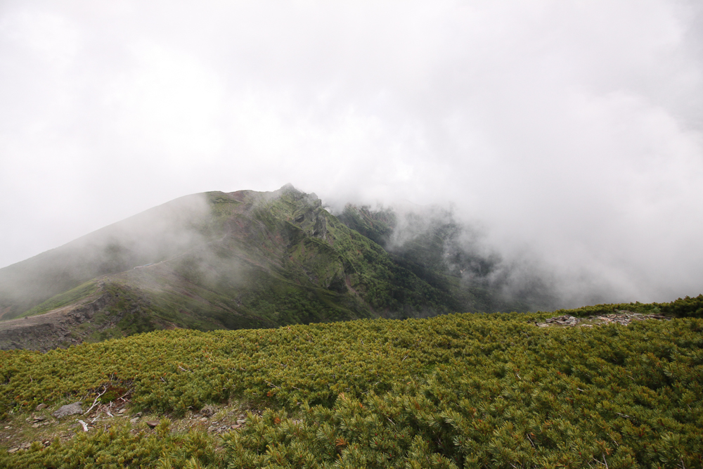 f:id:msx3:20180711134225j:plain f:id:msx3:20180711134225j:plain