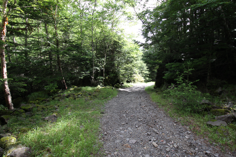 f:id:msx3:20180711150640j:plain f:id:msx3:20180711150640j:plain