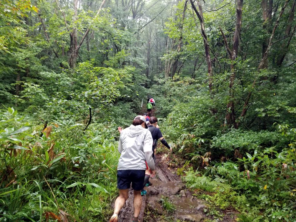 f:id:msx3:20180909110501j:plain f:id:msx3:20180909110501j:plain