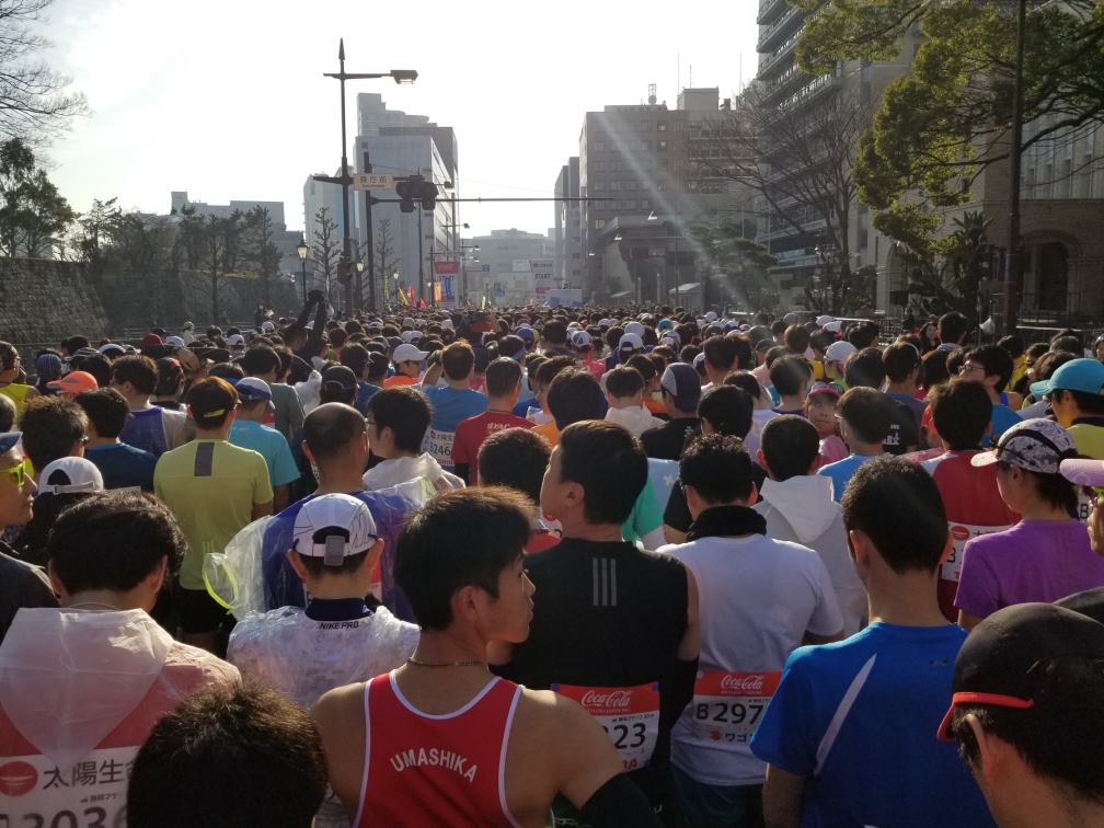 f:id:msx3:20190224080442j:plain