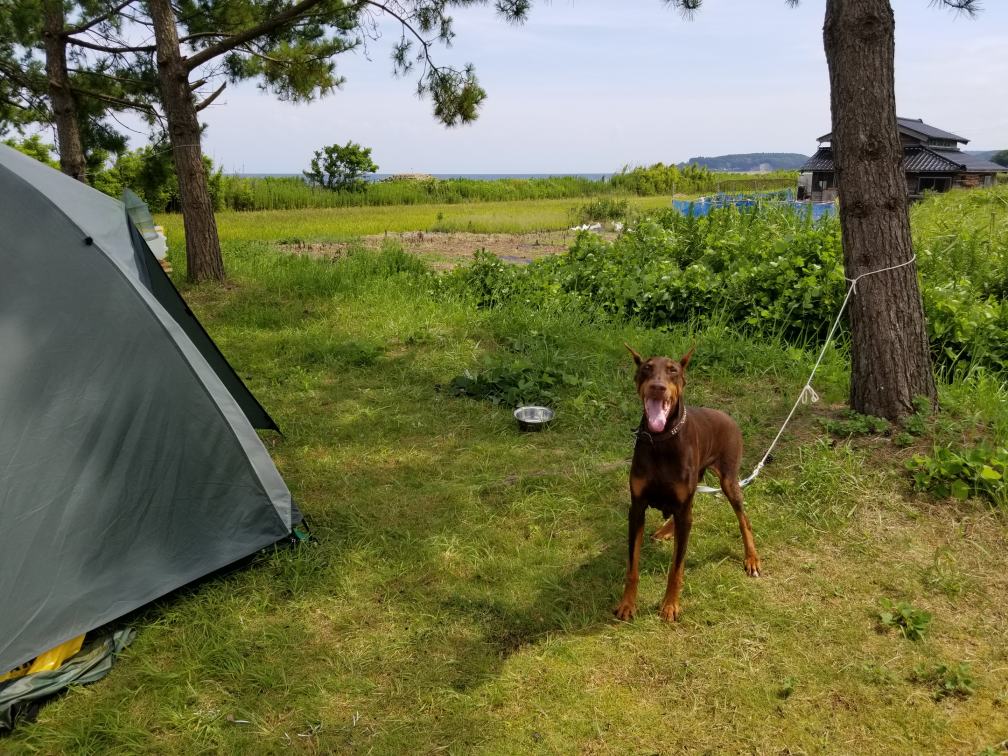 f:id:msx3:20190812133948j:plain