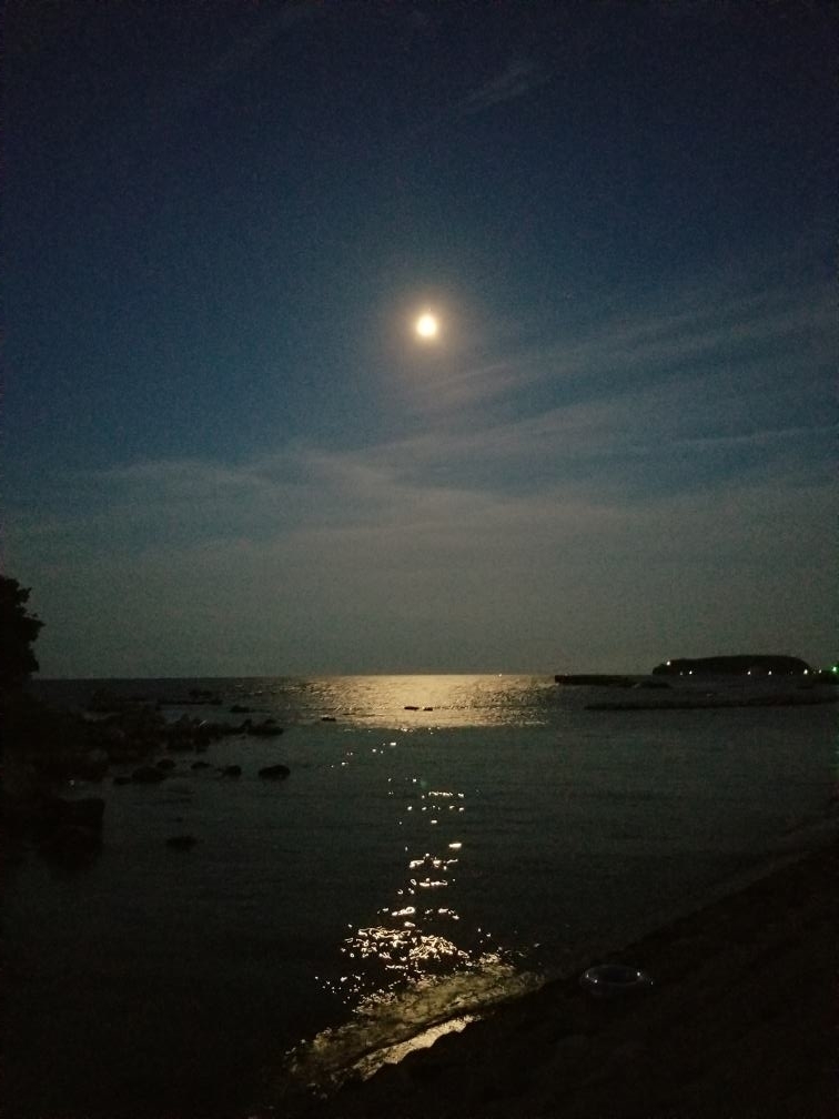 f:id:msx3:20190812192817j:plain