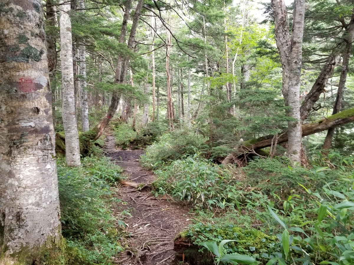 f:id:msx3:20190827081857j:plain f:id:msx3:20190827081857j:plain