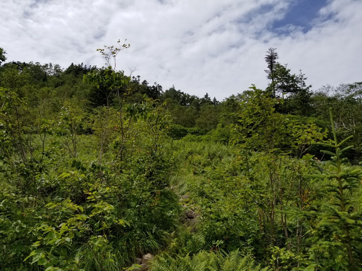 f:id:msx3:20190827110202j:plain f:id:msx3:20190827110202j:plain