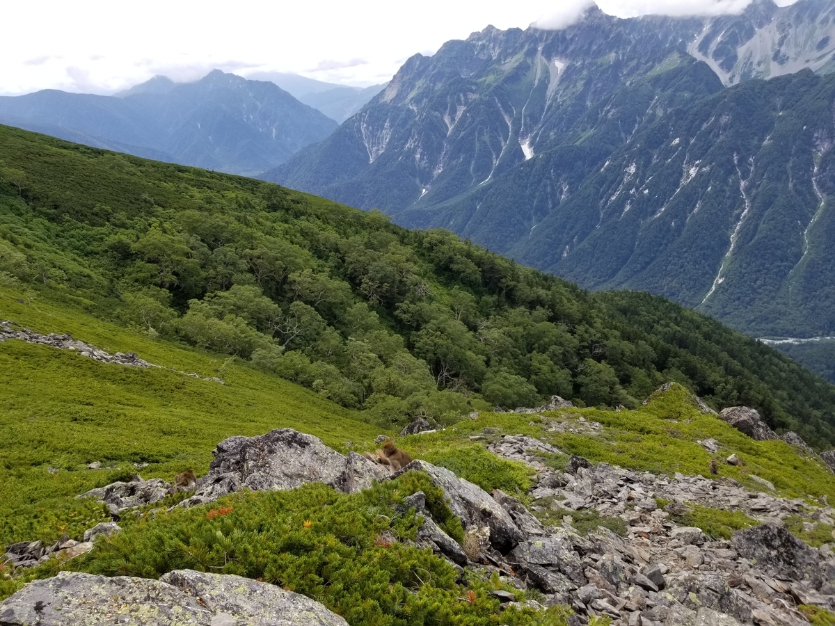 f:id:msx3:20190827115041j:plain f:id:msx3:20190827115041j:plain