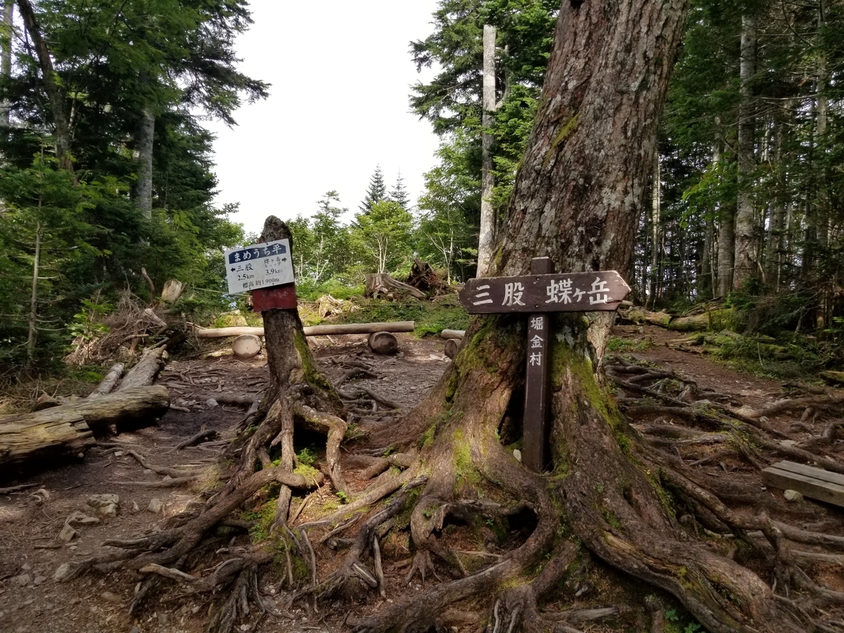 f:id:msx3:20190827140738j:plain f:id:msx3:20190827140738j:plain