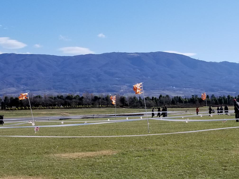 f:id:msx3:20191201105133j:plain