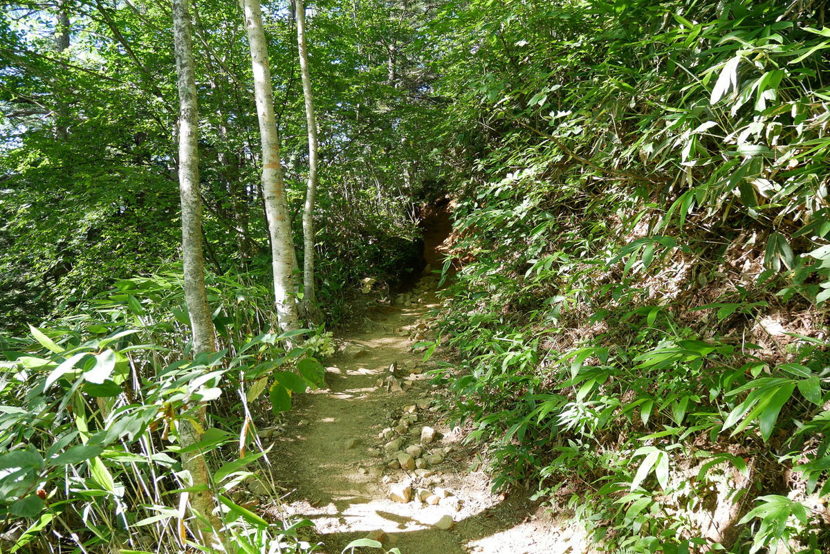 f:id:msx3:20200819074314j:plain f:id:msx3:20200819074314j:plain