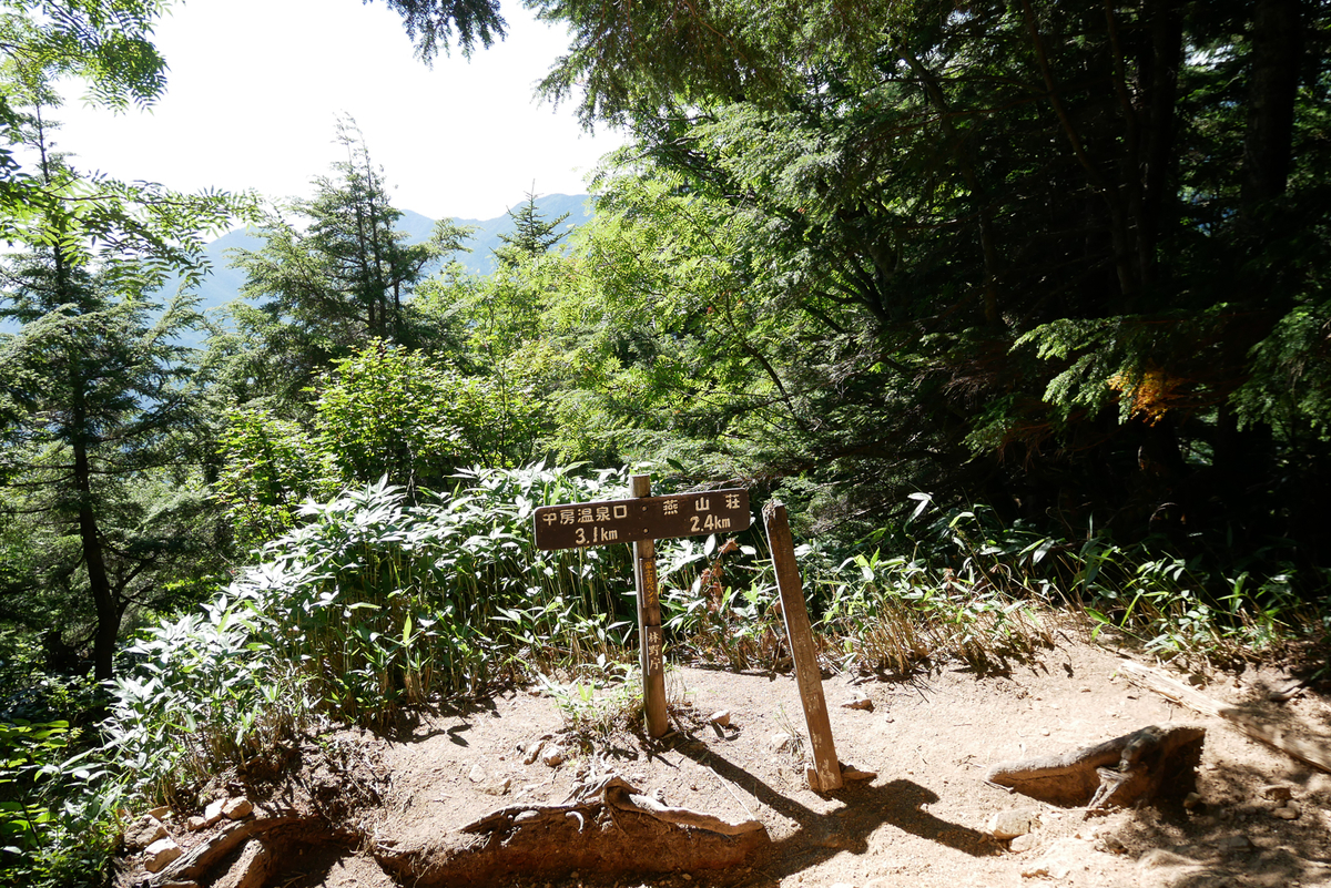 f:id:msx3:20200819085630j:plain f:id:msx3:20200819085630j:plain