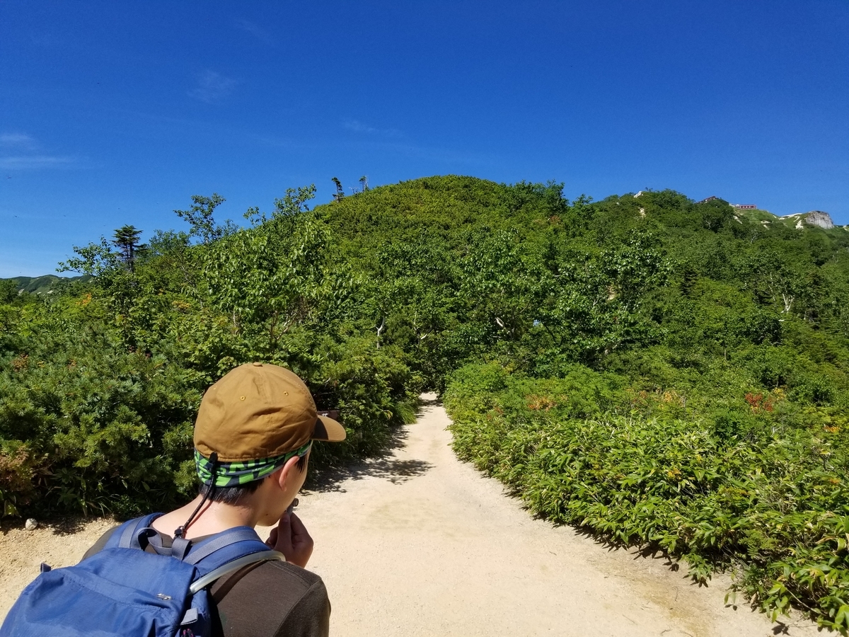 f:id:msx3:20200819094529j:plain f:id:msx3:20200819094529j:plain