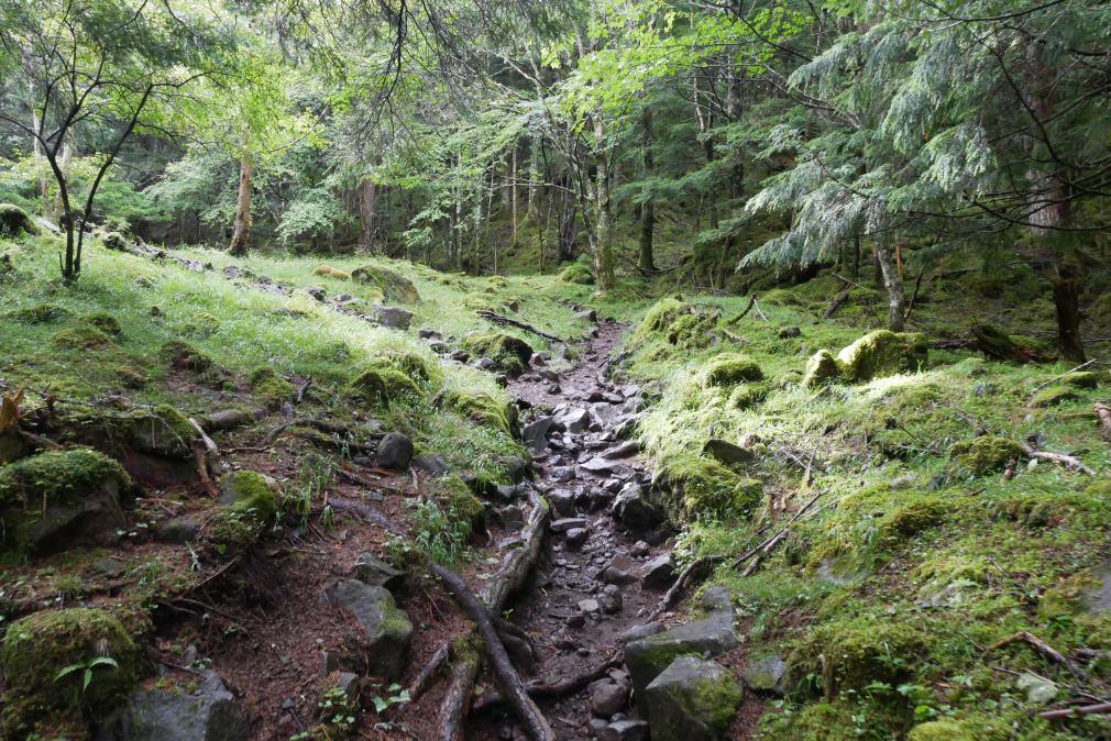 f:id:msx3:20200906074225j:plain