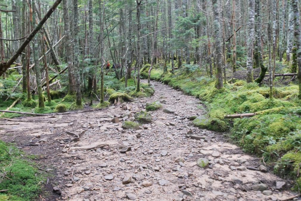 f:id:msx3:20200906084646j:plain