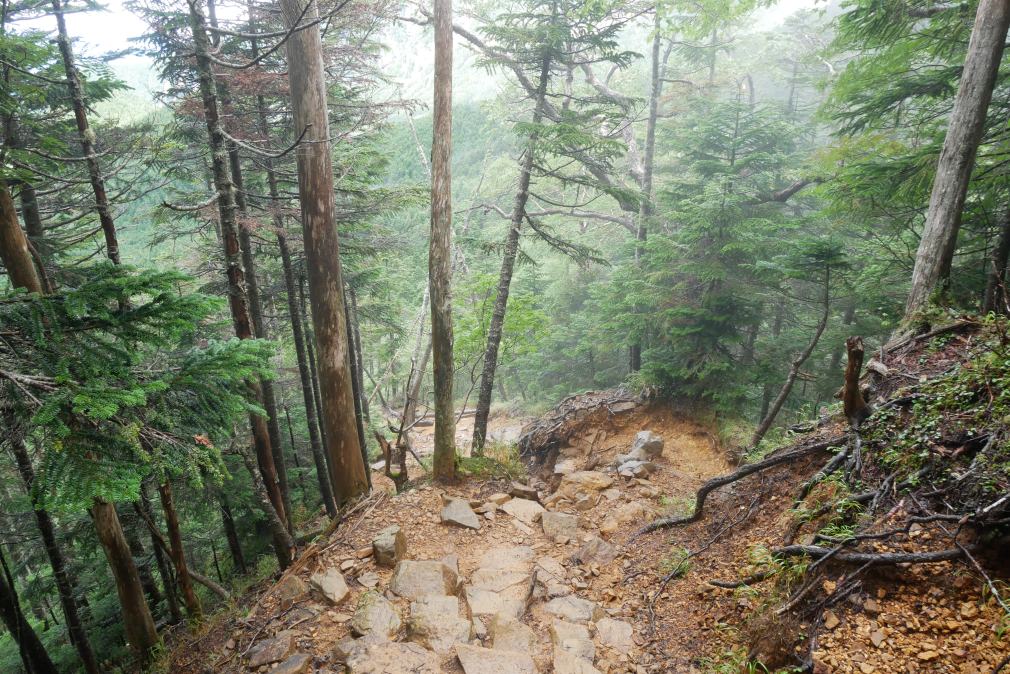 f:id:msx3:20200906115606j:plain