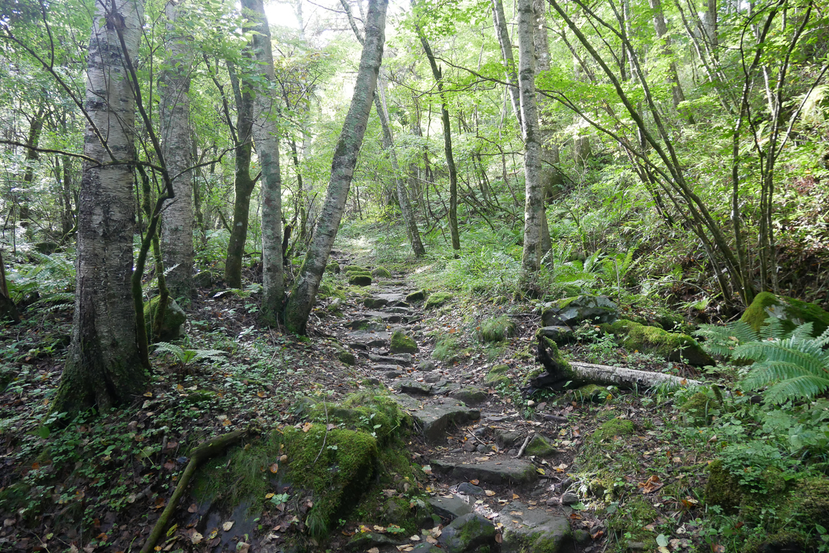 f:id:msx3:20200912081155j:plain f:id:msx3:20200912081155j:plain