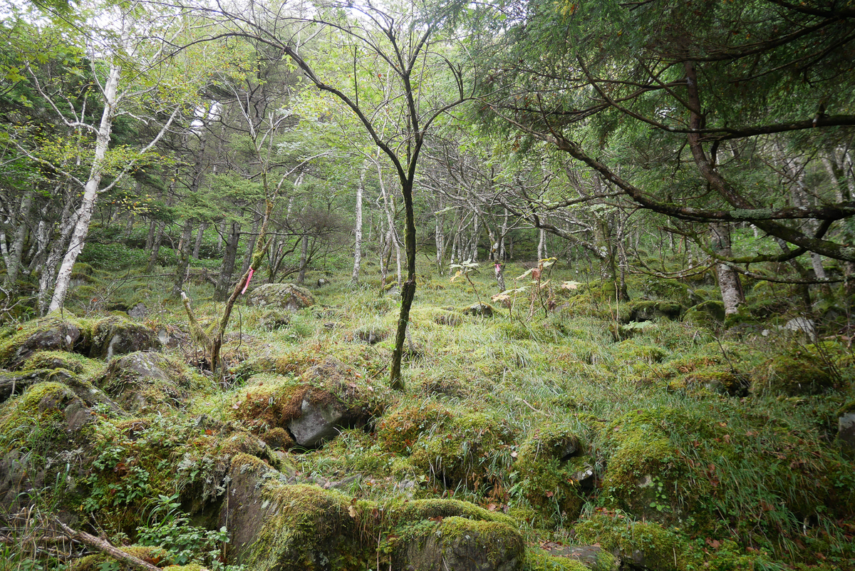 f:id:msx3:20200912090558j:plain f:id:msx3:20200912090558j:plain