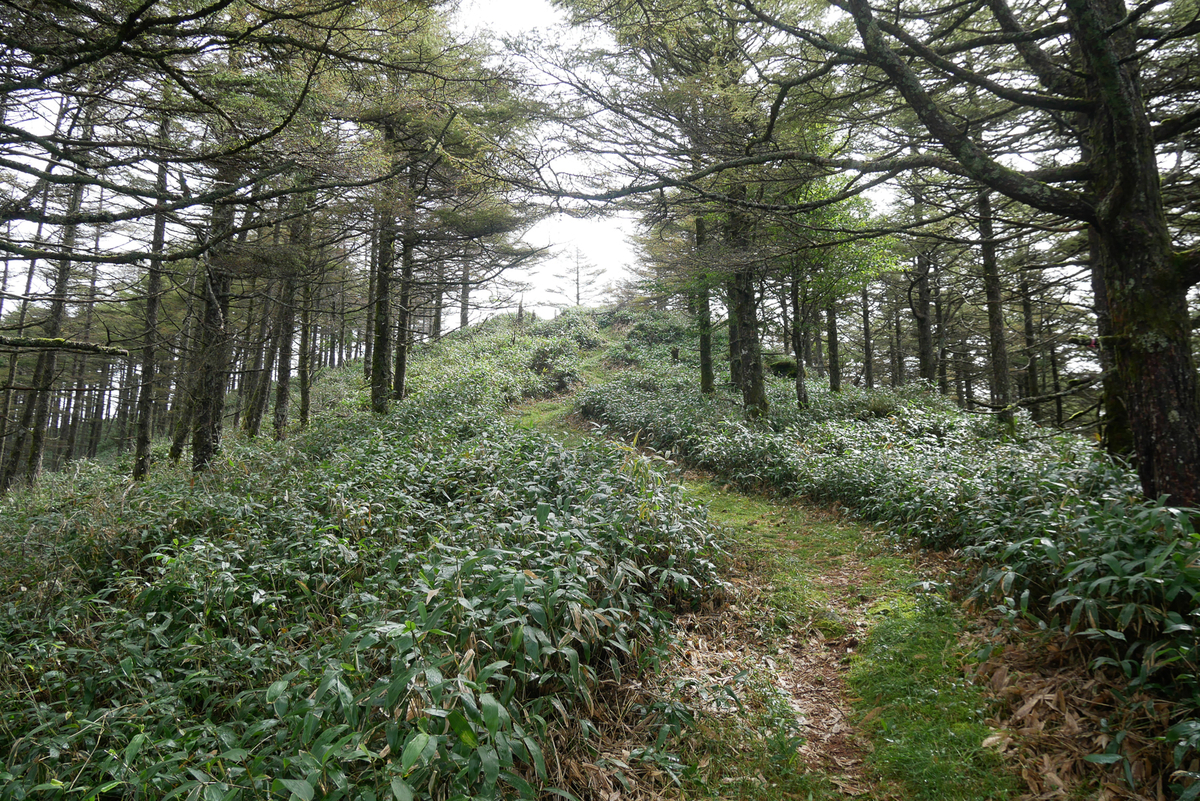 f:id:msx3:20200912092341j:plain f:id:msx3:20200912092341j:plain