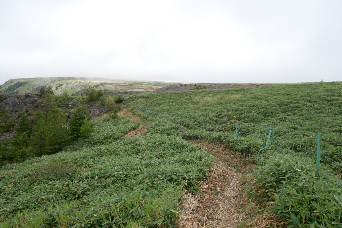 f:id:msx3:20200912094516j:plain f:id:msx3:20200912094516j:plain