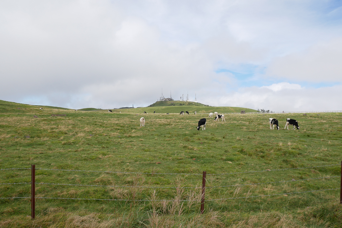 f:id:msx3:20200912101134j:plain f:id:msx3:20200912101134j:plain