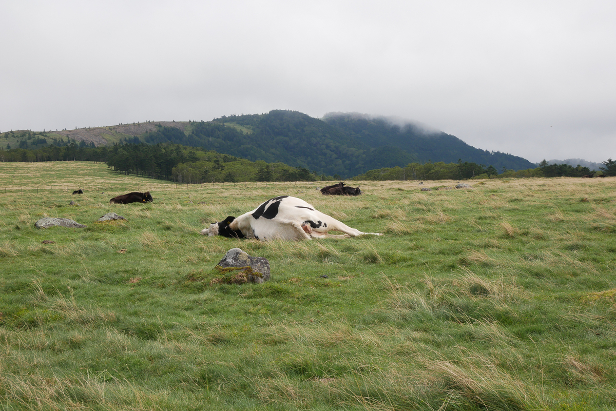 f:id:msx3:20200912101303j:plain f:id:msx3:20200912101303j:plain