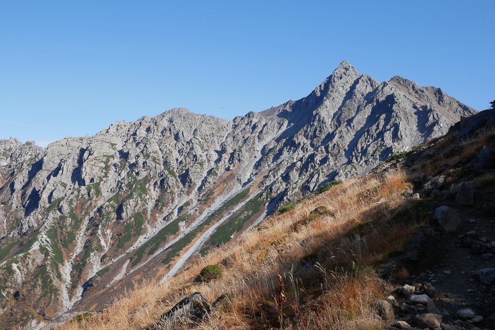 f:id:msx3:20201013140653j:plain f:id:msx3:20201013140653j:plain