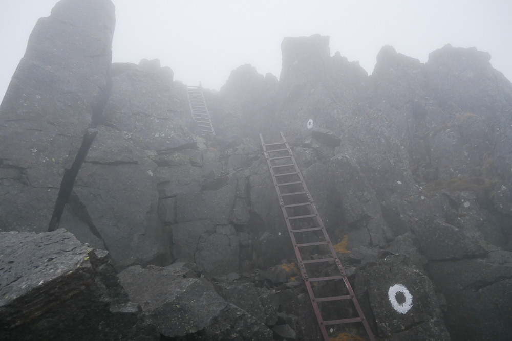 f:id:msx3:20201014060103j:plain f:id:msx3:20201014060103j:plain