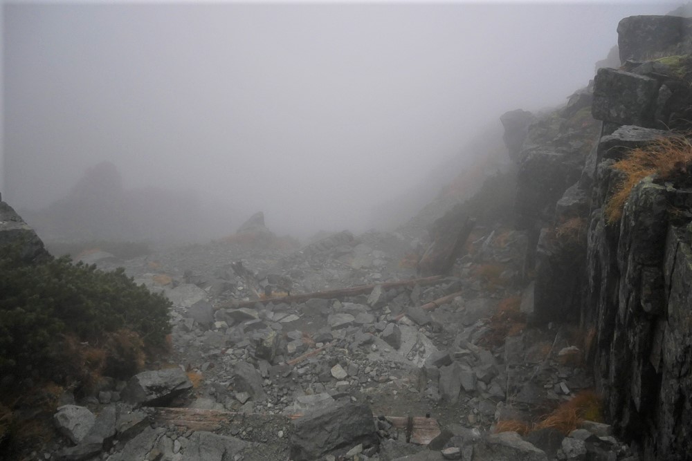 f:id:msx3:20201014071246j:plain f:id:msx3:20201014071246j:plain