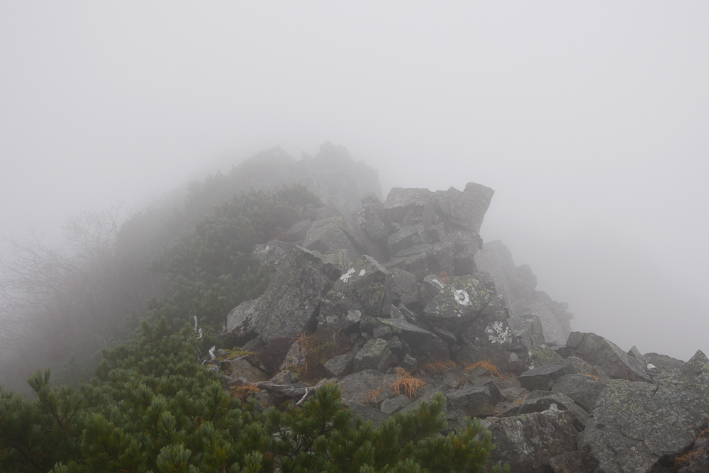 f:id:msx3:20201014080034j:plain f:id:msx3:20201014080034j:plain