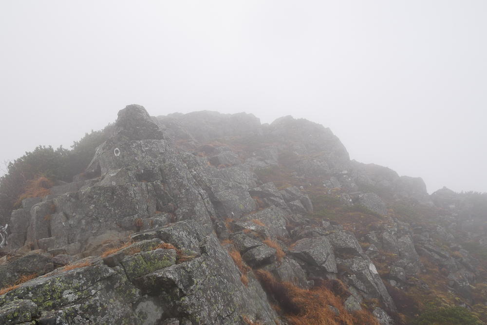 f:id:msx3:20201014080308j:plain f:id:msx3:20201014080308j:plain