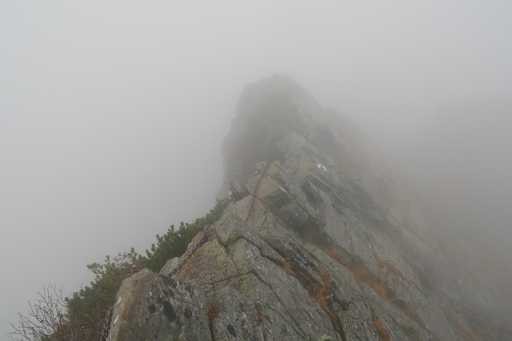 f:id:msx3:20201014081050j:plain f:id:msx3:20201014081050j:plain