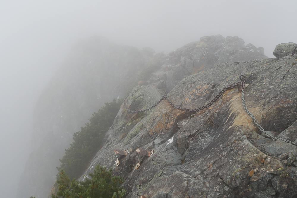 f:id:msx3:20201014084036j:plain f:id:msx3:20201014084036j:plain