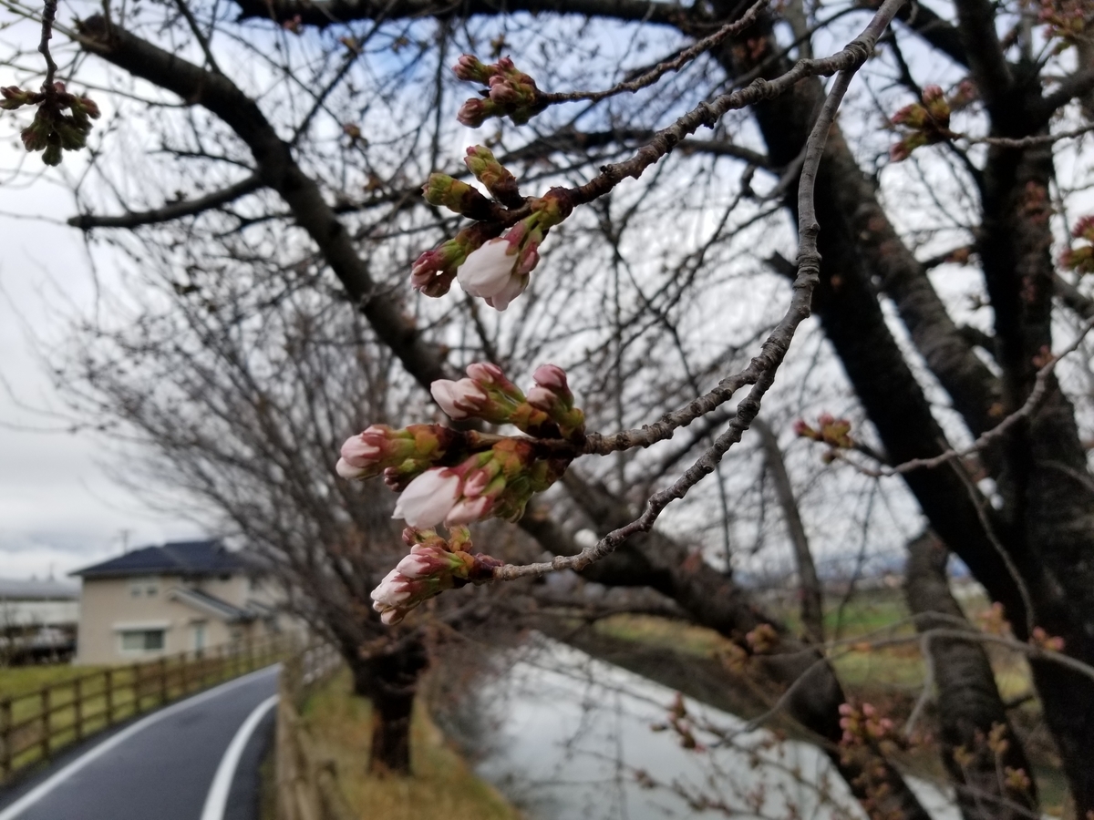 f:id:msx3:20210329080123j:plain