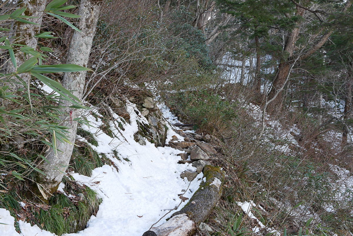 f:id:msx3:20210420071300j:plain