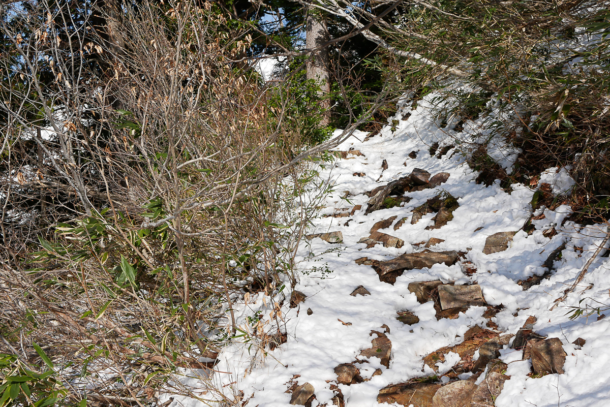 f:id:msx3:20210420073823j:plain