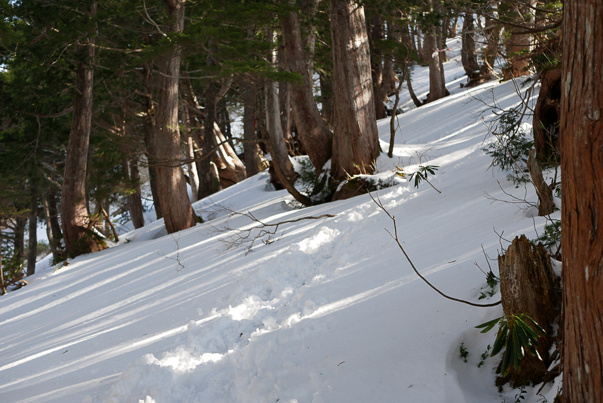 f:id:msx3:20210420080234j:plain