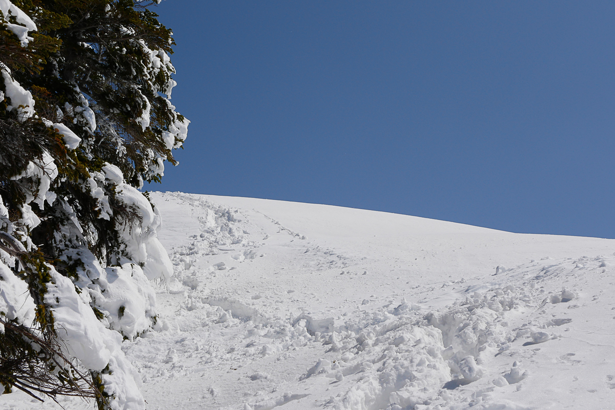 f:id:msx3:20210420091627j:plain