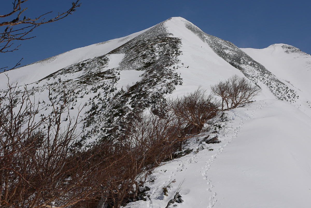 f:id:msx3:20210420093225j:plain