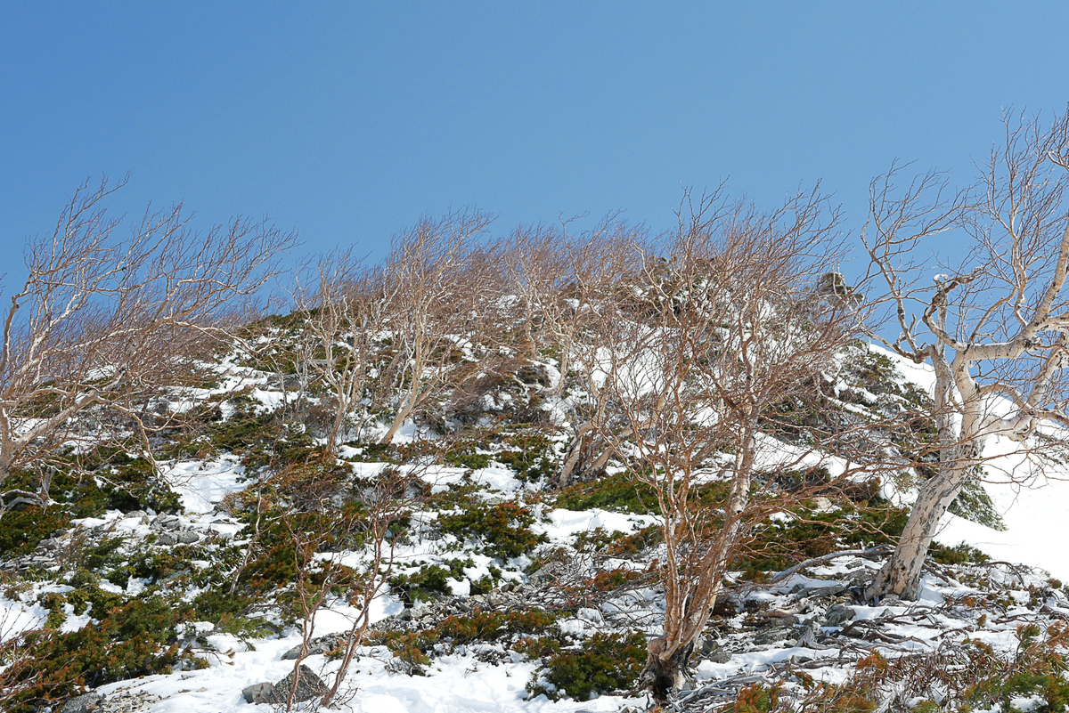 f:id:msx3:20210420094152j:plain