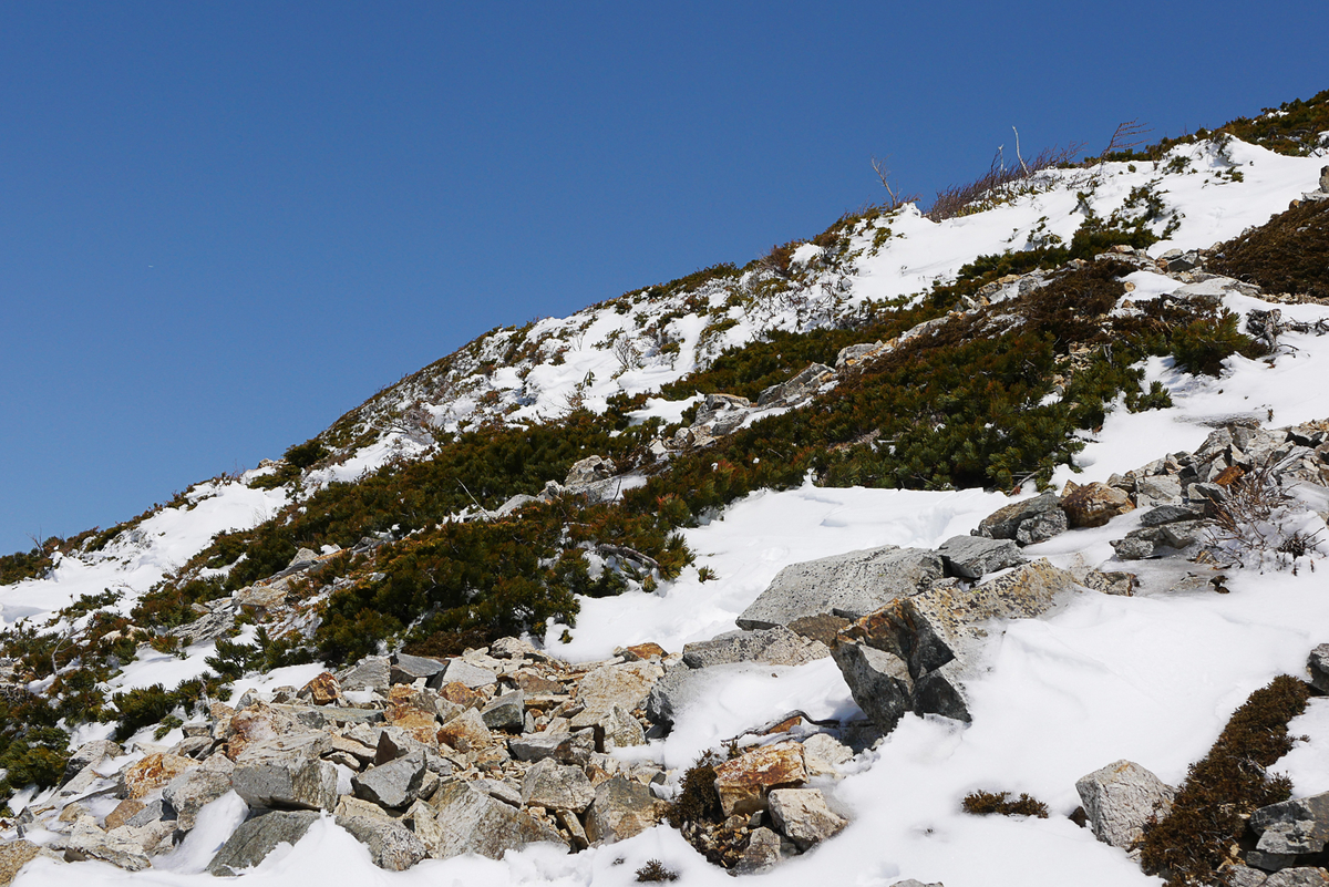 f:id:msx3:20210420095939j:plain