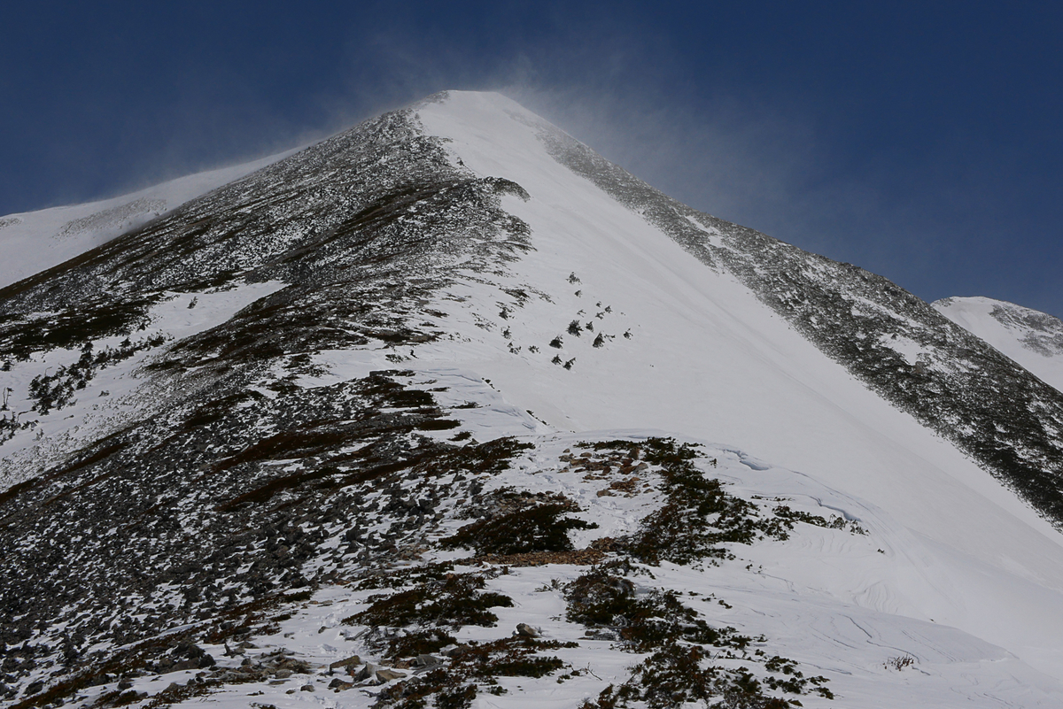 f:id:msx3:20210420100633j:plain