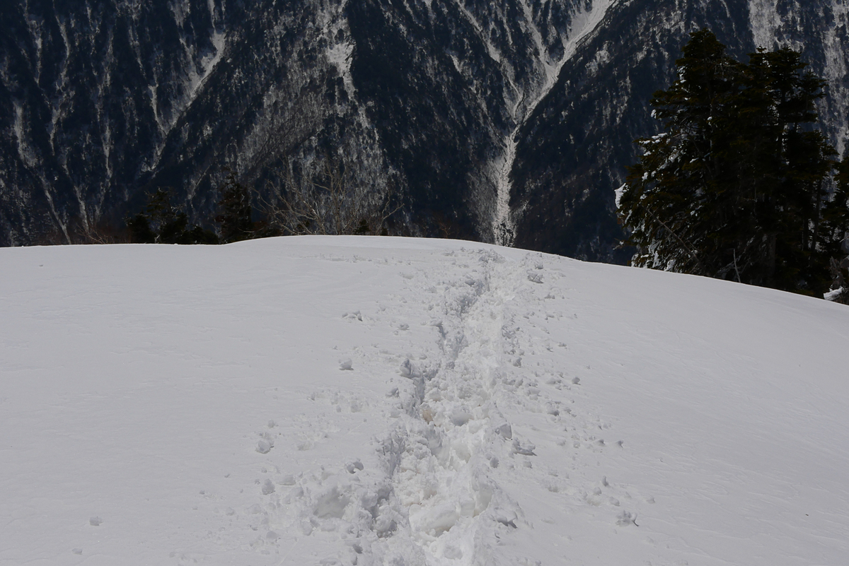 f:id:msx3:20210420113027j:plain