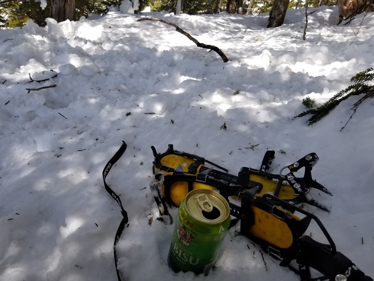 f:id:msx3:20210420113757j:plain