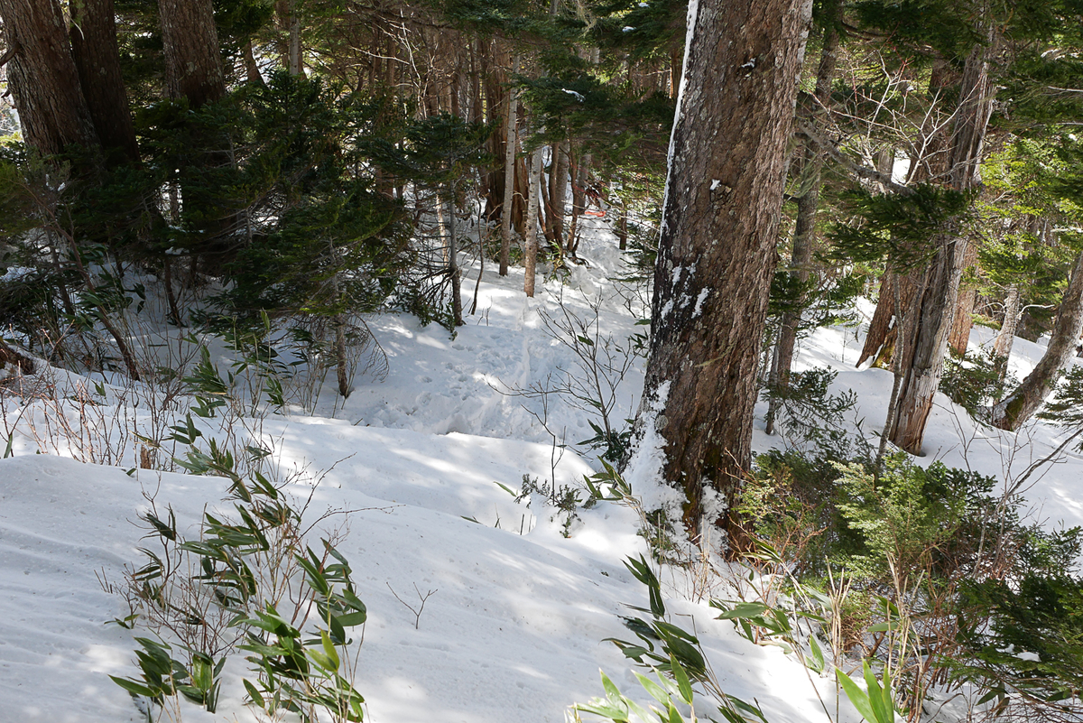 f:id:msx3:20210420120930j:plain