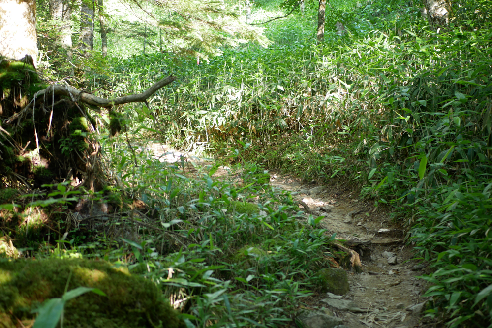 f:id:msx3:20210721072908j:plain