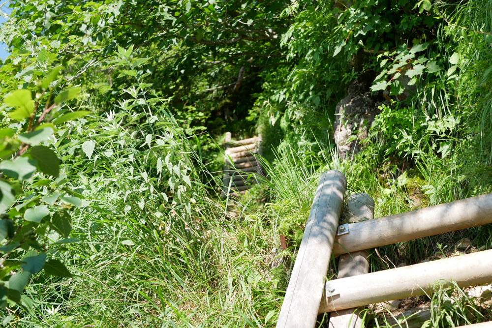 f:id:msx3:20210721082427j:plain